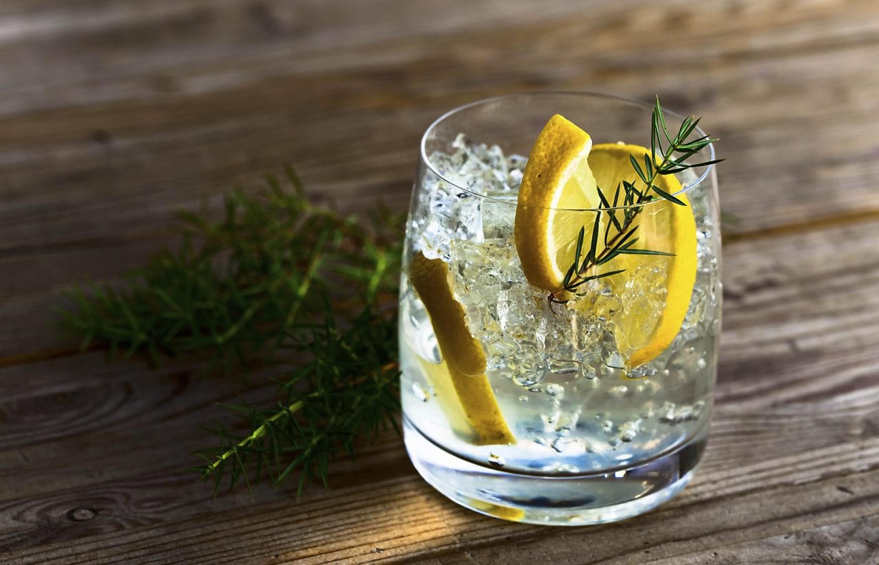 Gin With Lemon And Ice
